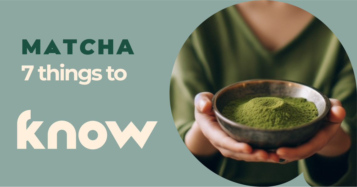 Matcha 101: What is Matcha and Everything Else You Should Know