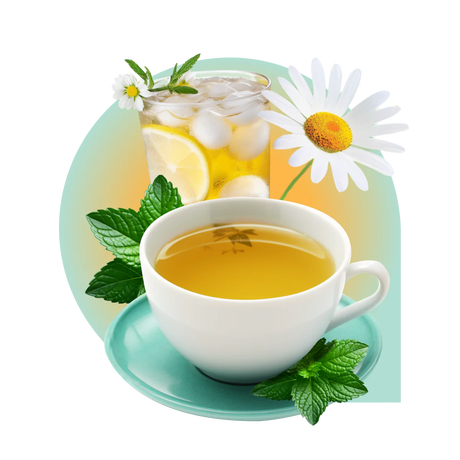 A cup of chamomile tea and a glass of iced tea with lemon, mint leaves, and a chamomile flower.