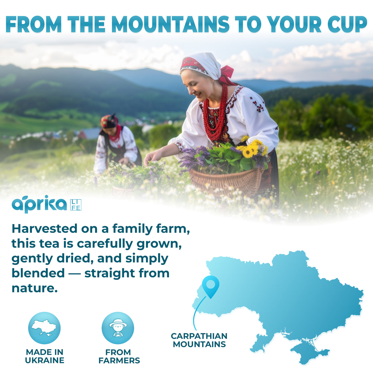 Herbal Sleep Tea With Sleep Guide, 60 Bags