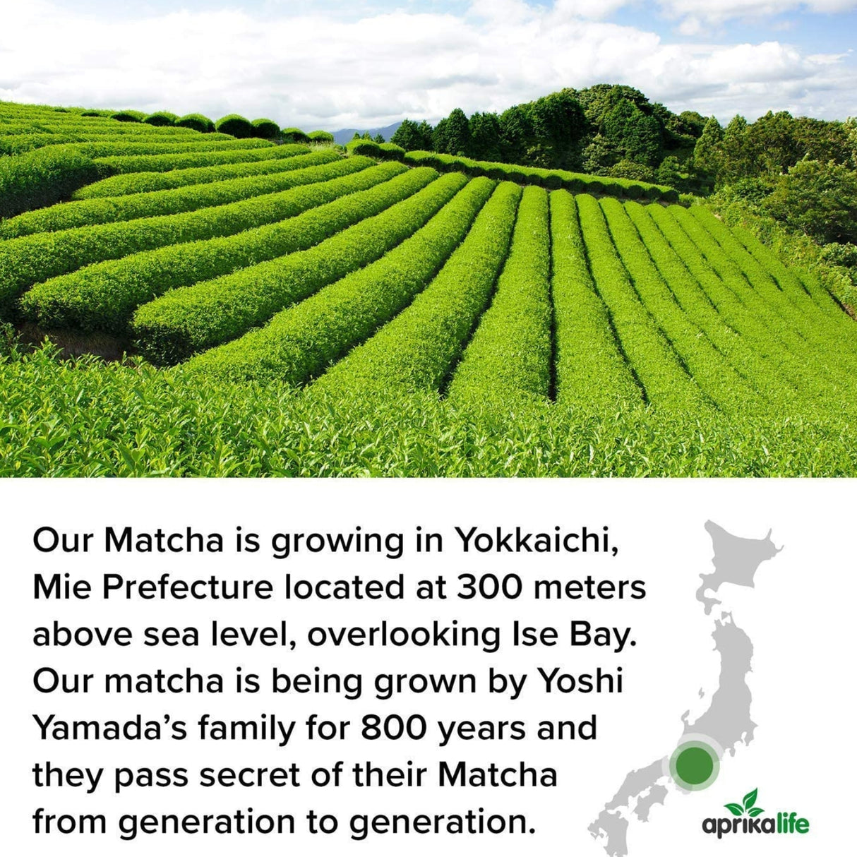 Discover the lush green matcha tea fields in Yokkaichi, where the Yamada family has perfected their craft over 800 years. Experience their legacy with a Black Matcha Tea Gift Set, complete with a bamboo whisk for preparing your own ceremonial matcha tea.