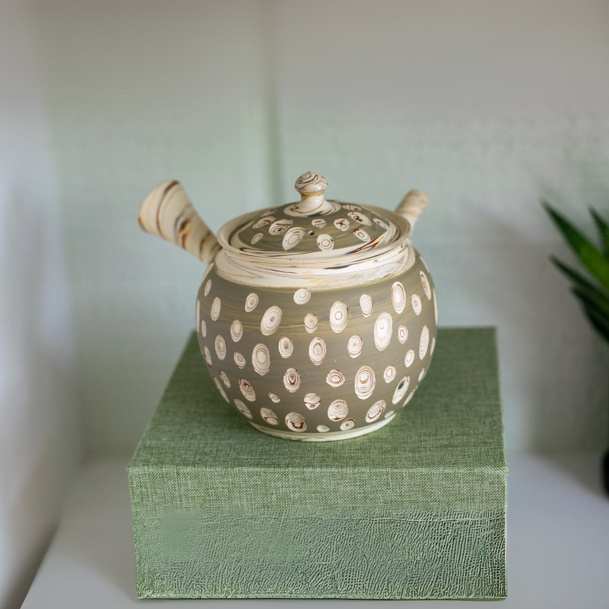 The Japanese Kyusu Set, featuring a 370ml Tokoname clay teapot with filters and two cups, rests on a green textured box. Its ceramic surface displays a speckled pattern, complemented by nearby greenery for a serene tea experience.