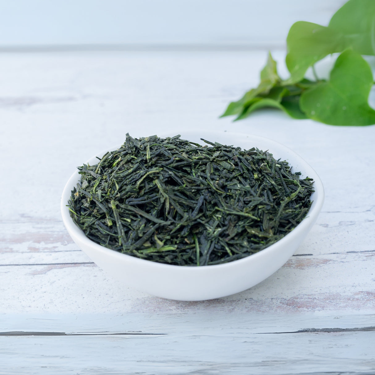 A bowl of Sencha Loose Leaf Tea sits on a white wooden surface, surrounded by lush green leaves.