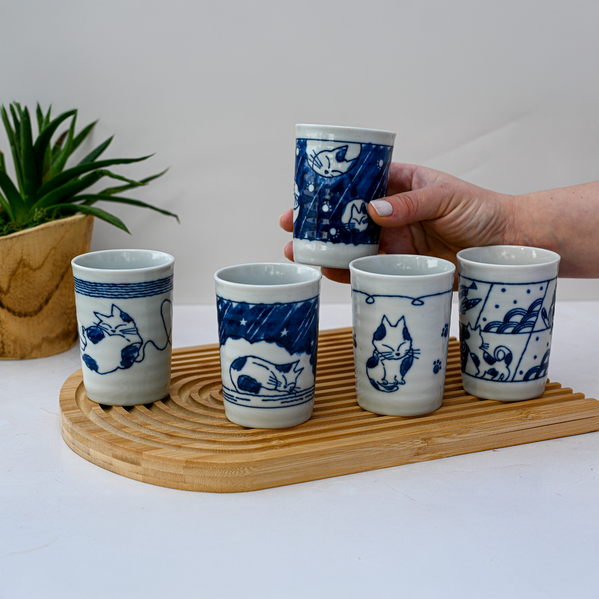 A Set of 5 Adorable Cat Tea Cups, Blue & White Mino-Ware (180ml each), is artfully arranged on a wooden tray by a potted plant, one held in hand—highlighting exquisite Japanese craftsmanship.