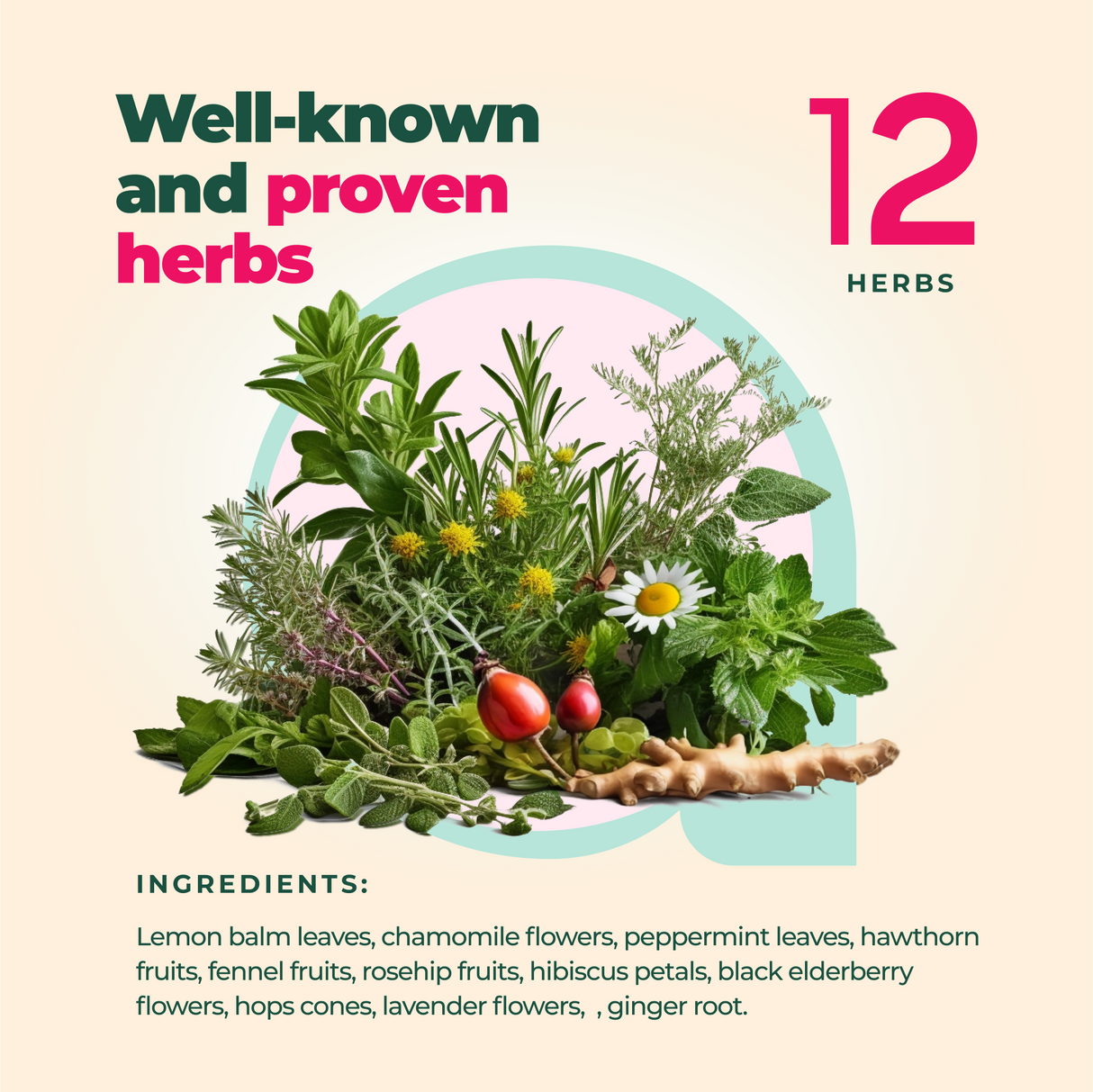 A collection of herbs labeled "Well-known and proven herbs for sleep improvement" featuring the Calm and Relax Herbal Tea, 60 Bags, with 12 different herbs and their ingredients.