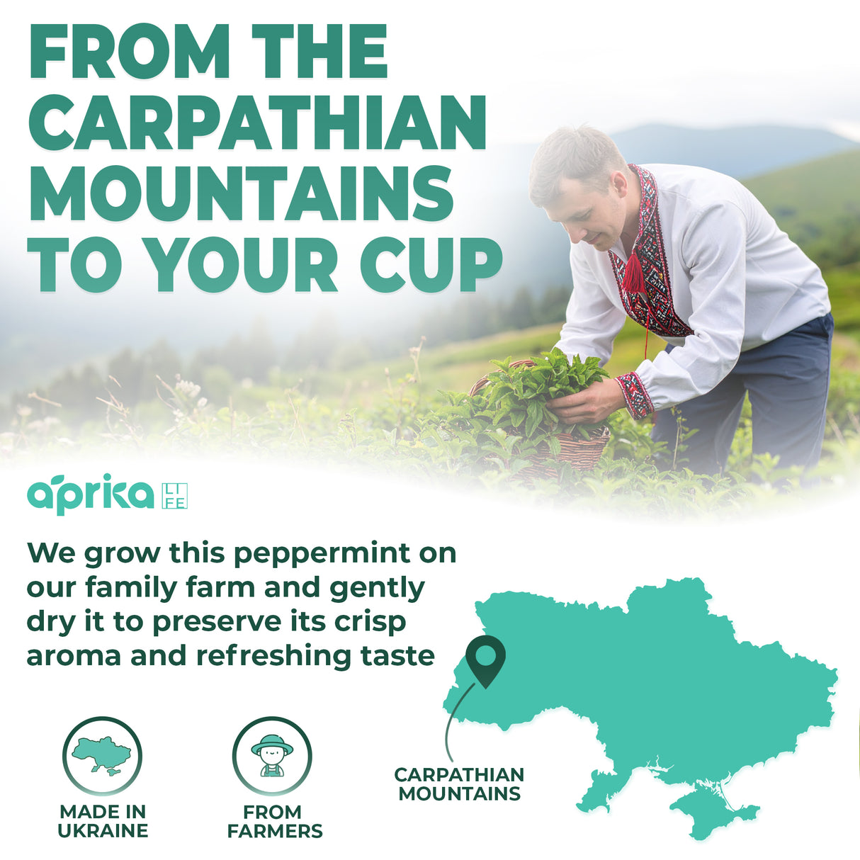 100% Pure Peppermint Herbal Tea, 60 Bags