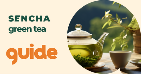 The Ultimate Guide to Sencha Green Tea: History, Production, Benefits, and Brewing Tips