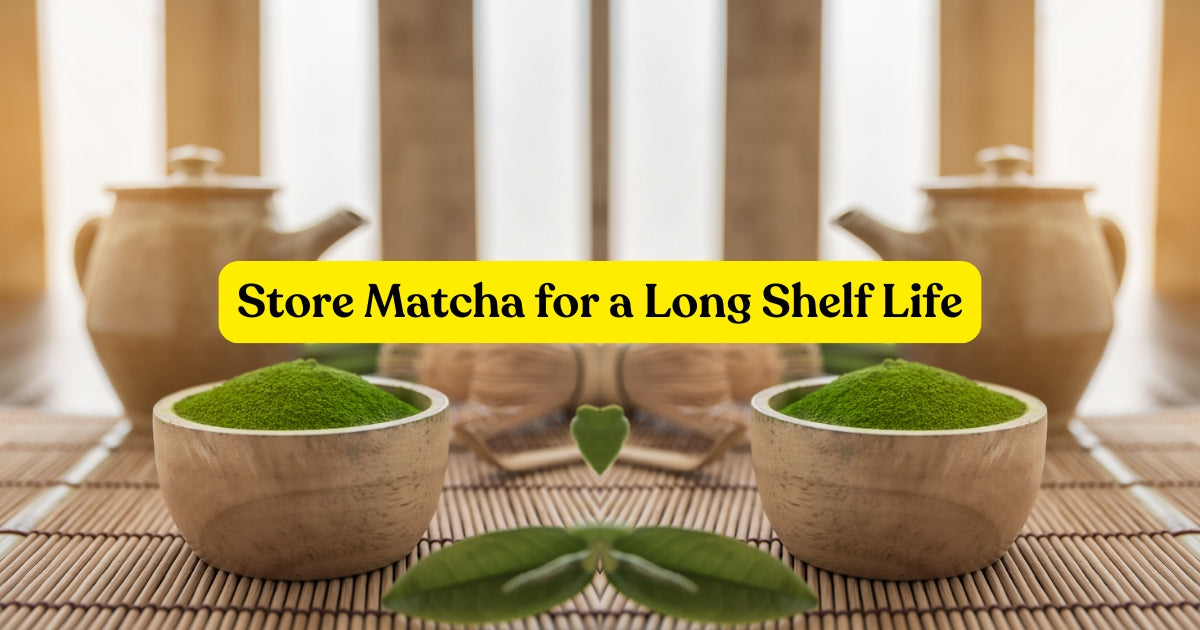 The Best Way to Store Matcha for a Longer Shelf Life