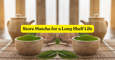 The Best Way to Store Matcha for a Longer Shelf Life