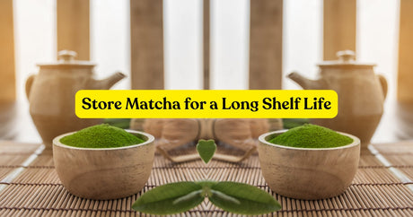 The Best Way to Store Matcha for a Longer Shelf Life