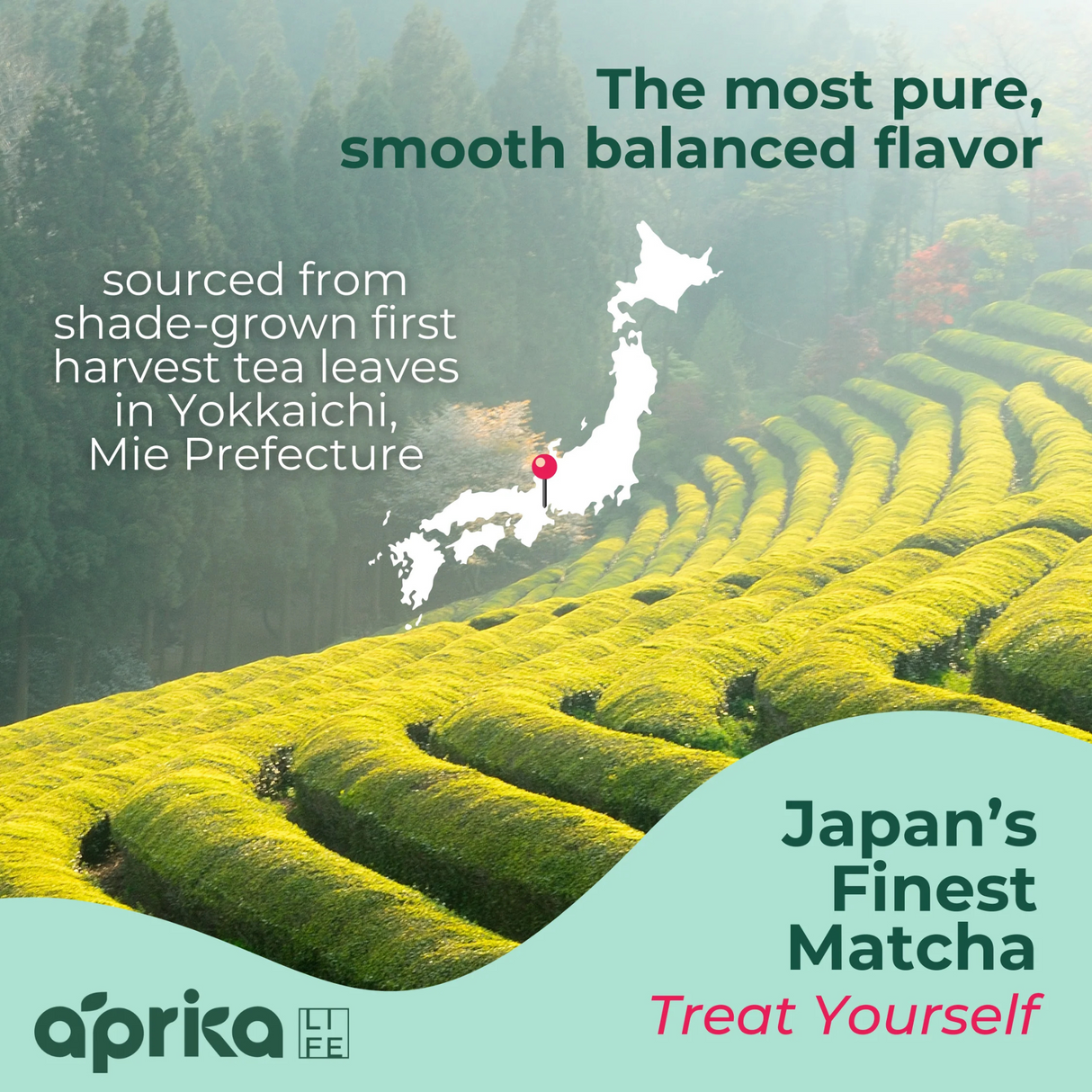 Experience the rich flavor and vibrant color of Ceremonial Grade Matcha Latte Powder Mix with Natural Vanilla Flavor—crafted from Japan’s finest matcha, perfect for traditional tea or a delicious vanilla matcha latte.