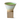 Beige Coffee Mug with Base  - 6.8 oz/200ml