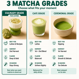 Culinary Grade Matcha Powder for Latte, Smoothies and Recipes - 1.1 LB