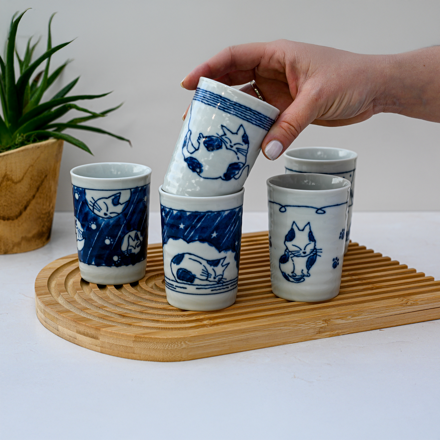A hand stacks a Set of 5 Adorable Cat Tea Cups, Blue & White Mino-Ware, 180ml (6oz.), on a bamboo tray beside a potted plant.