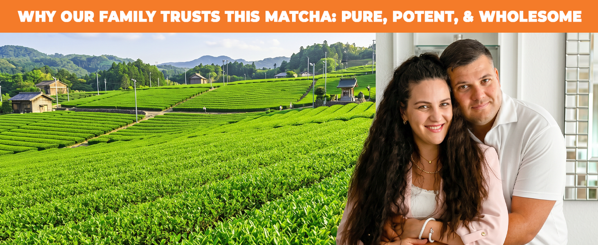 Organic Japanese matcha from Mie Prefecture sourced directly by Aprika Life family brand