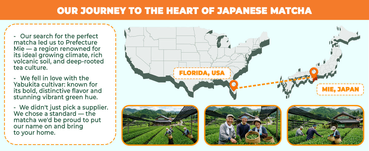 Japanese matcha journey from Mie Prefecture tea farms to Aprika Life in Florida USA