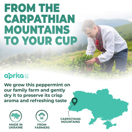 100% Pure Peppermint Herbal Tea, 60 Bags